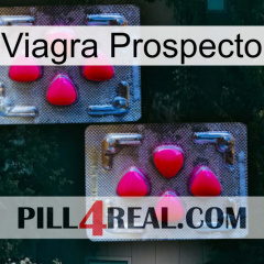 Prospecto Viagra 14